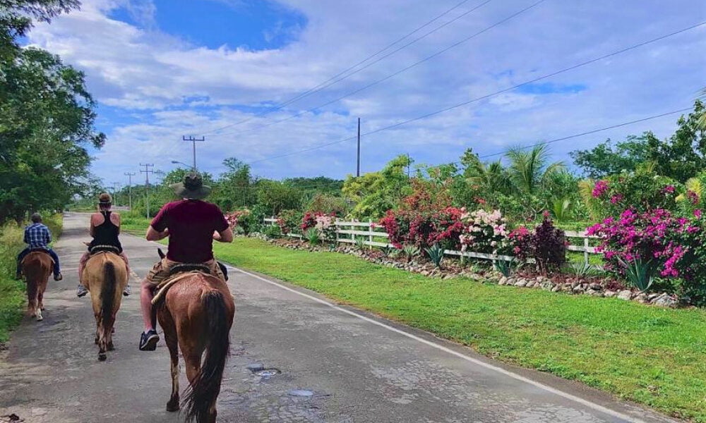 cozumel horseback riding