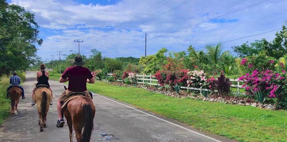 cozumel horseback riding