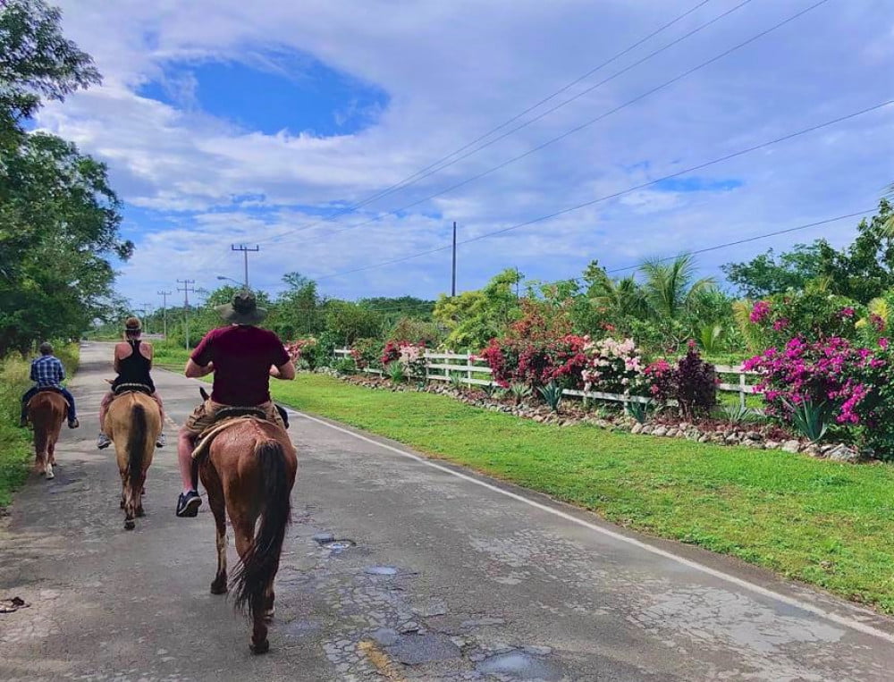cozumel horseback riding